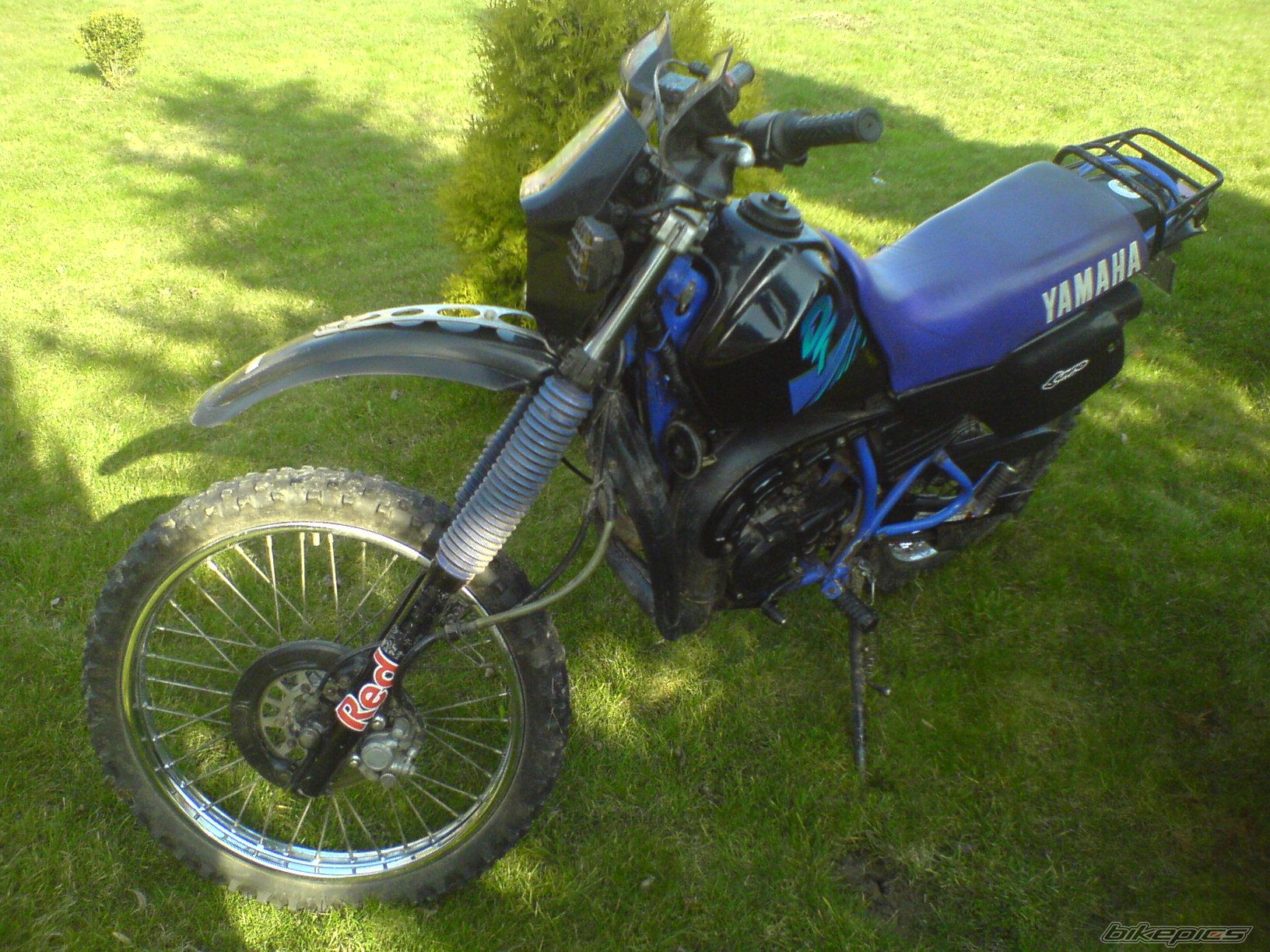 Photo 1619778