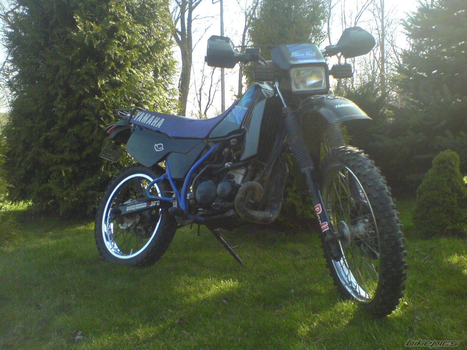 Photo 1619781
