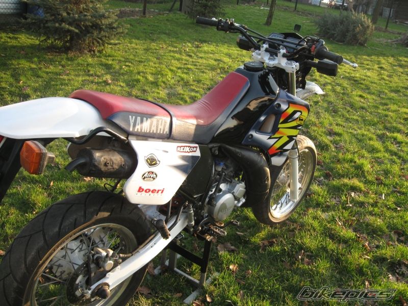 Photo 1619794