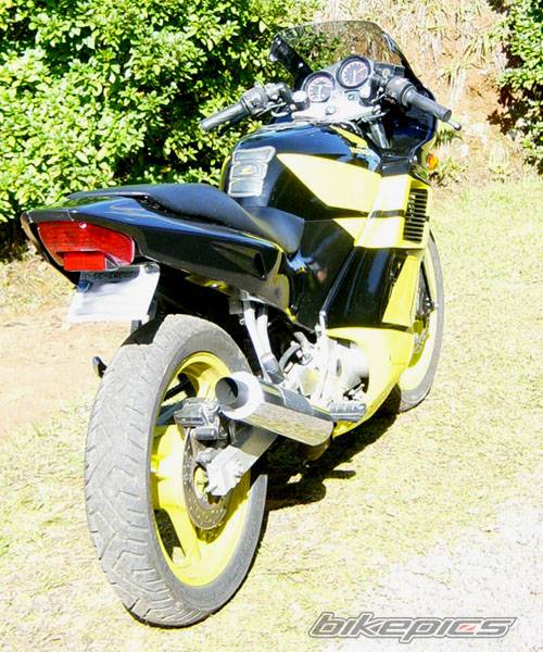 Photo 161981
