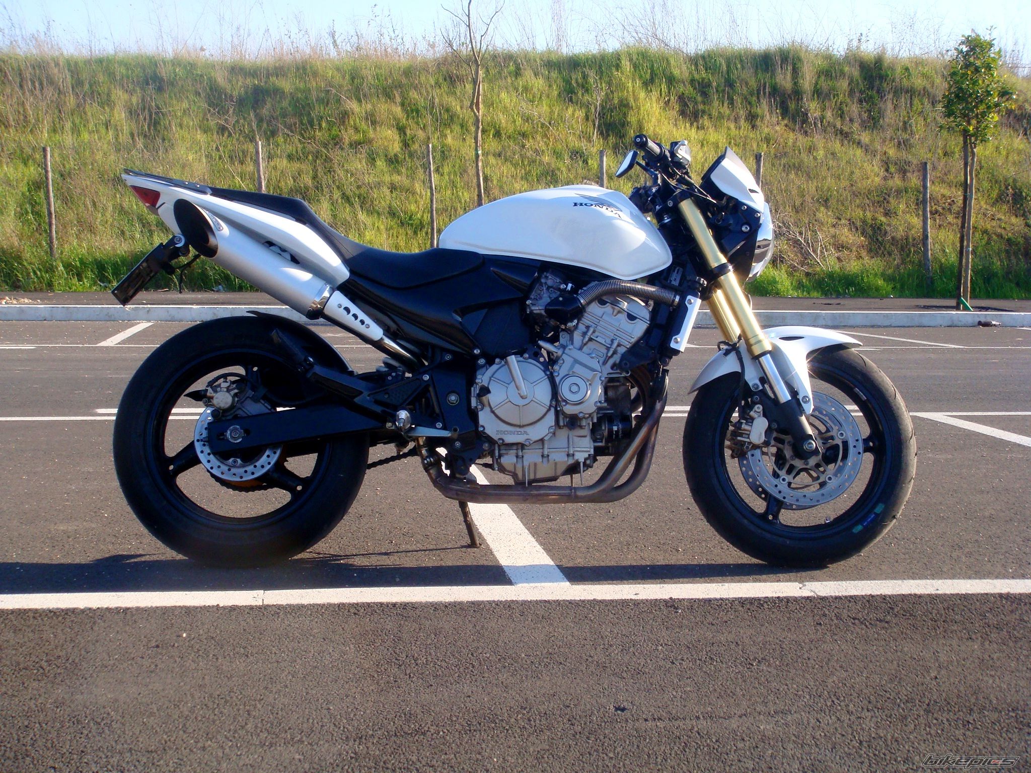 Bike Photo 1619849