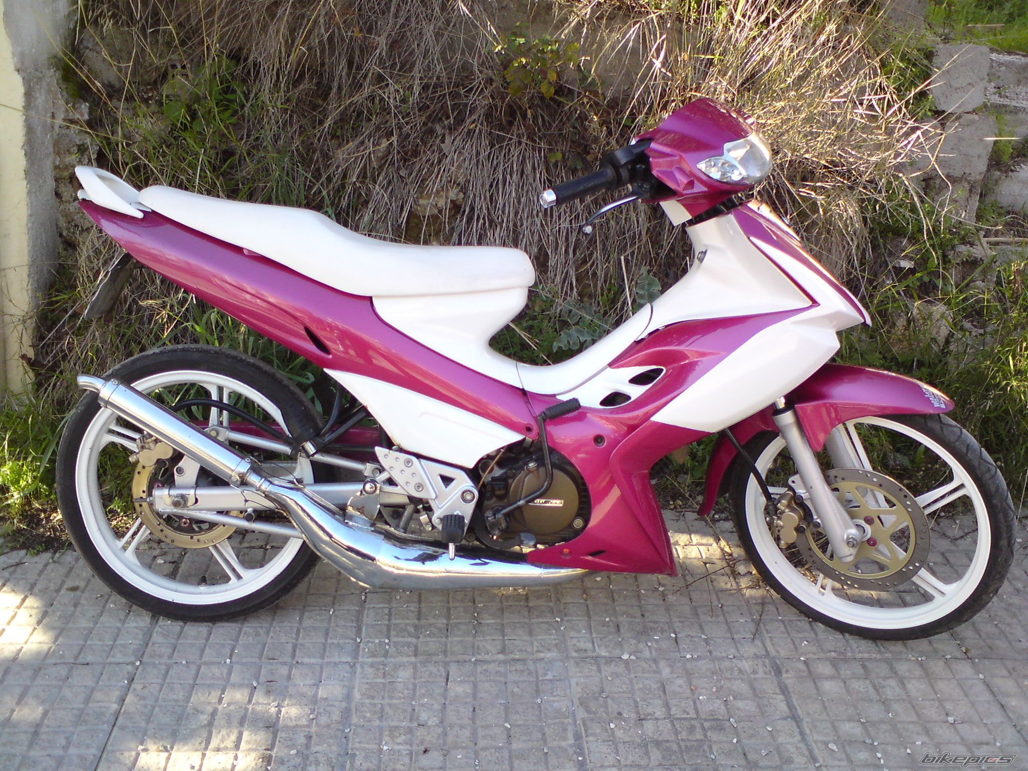 Photo 1619875