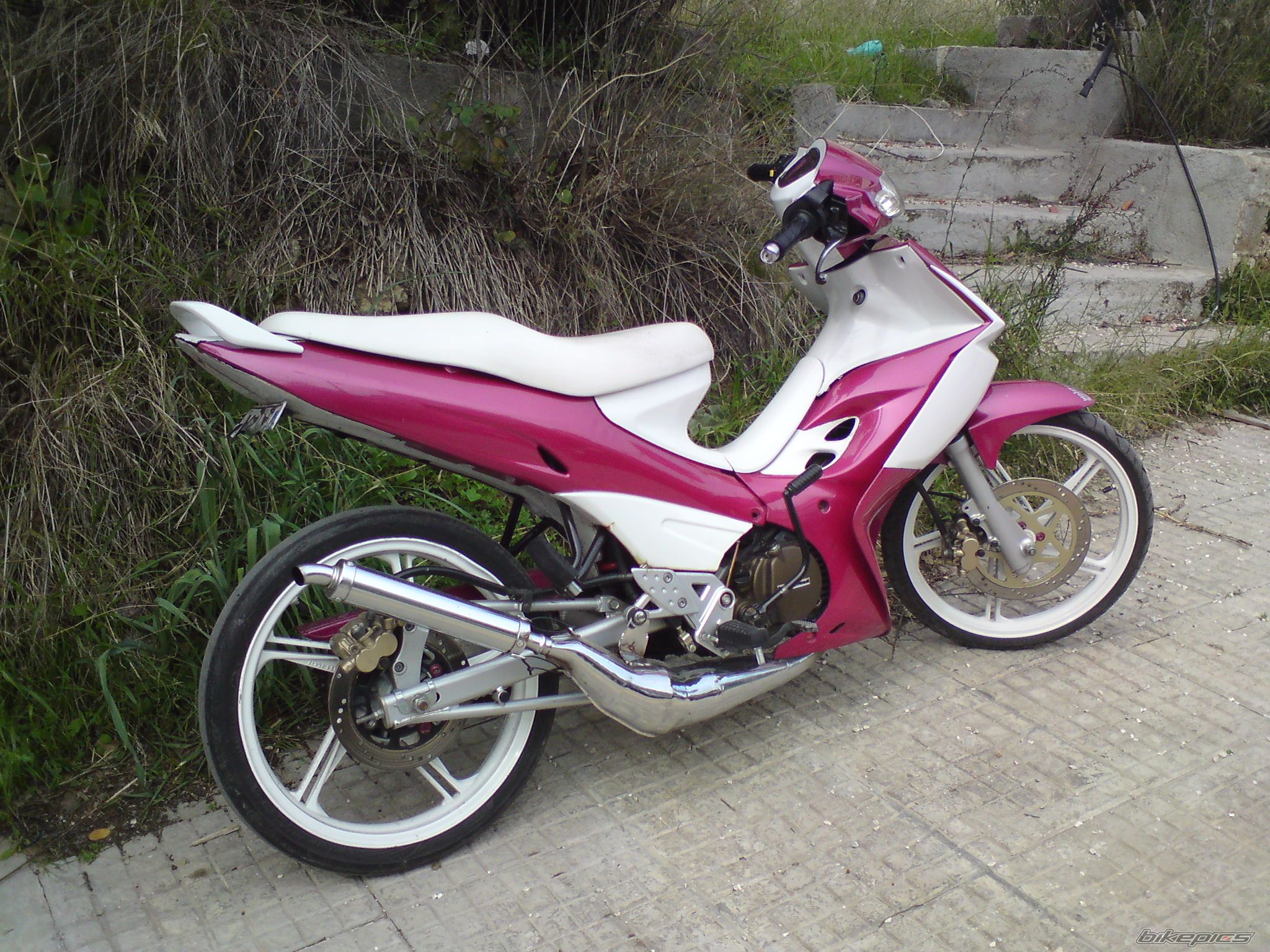 Photo 1619884