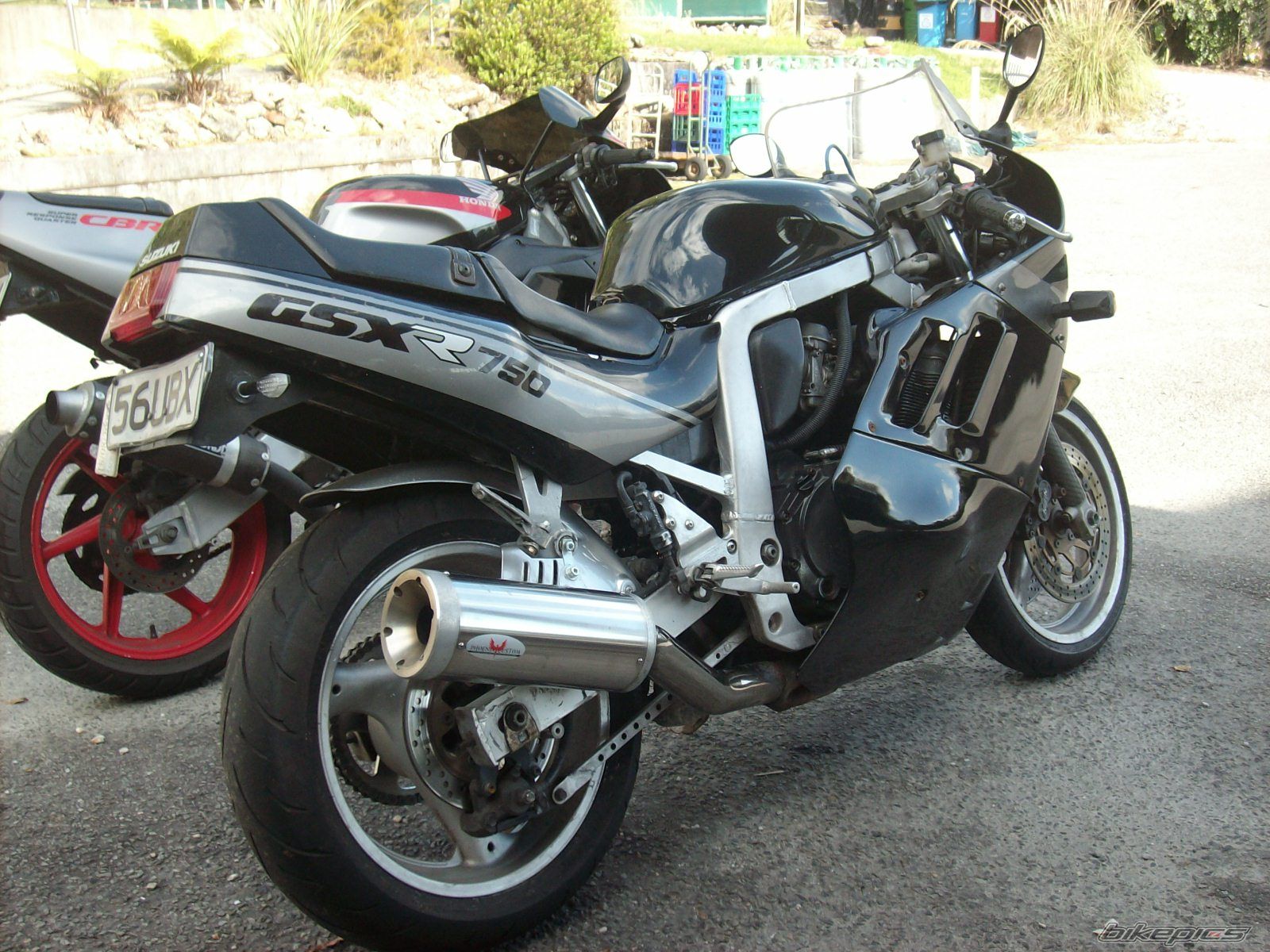 Photo 1619919