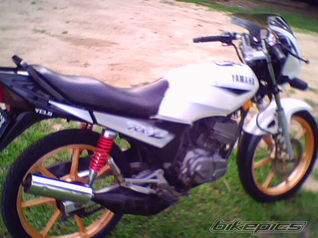 Photo 1619947