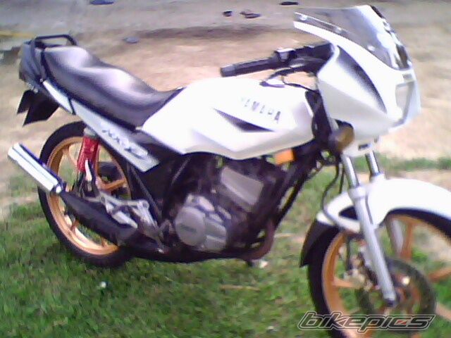 Photo 1619948