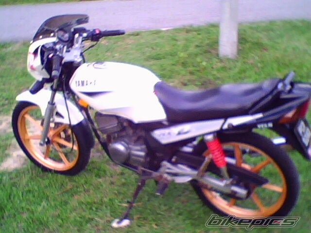 Photo 1619950