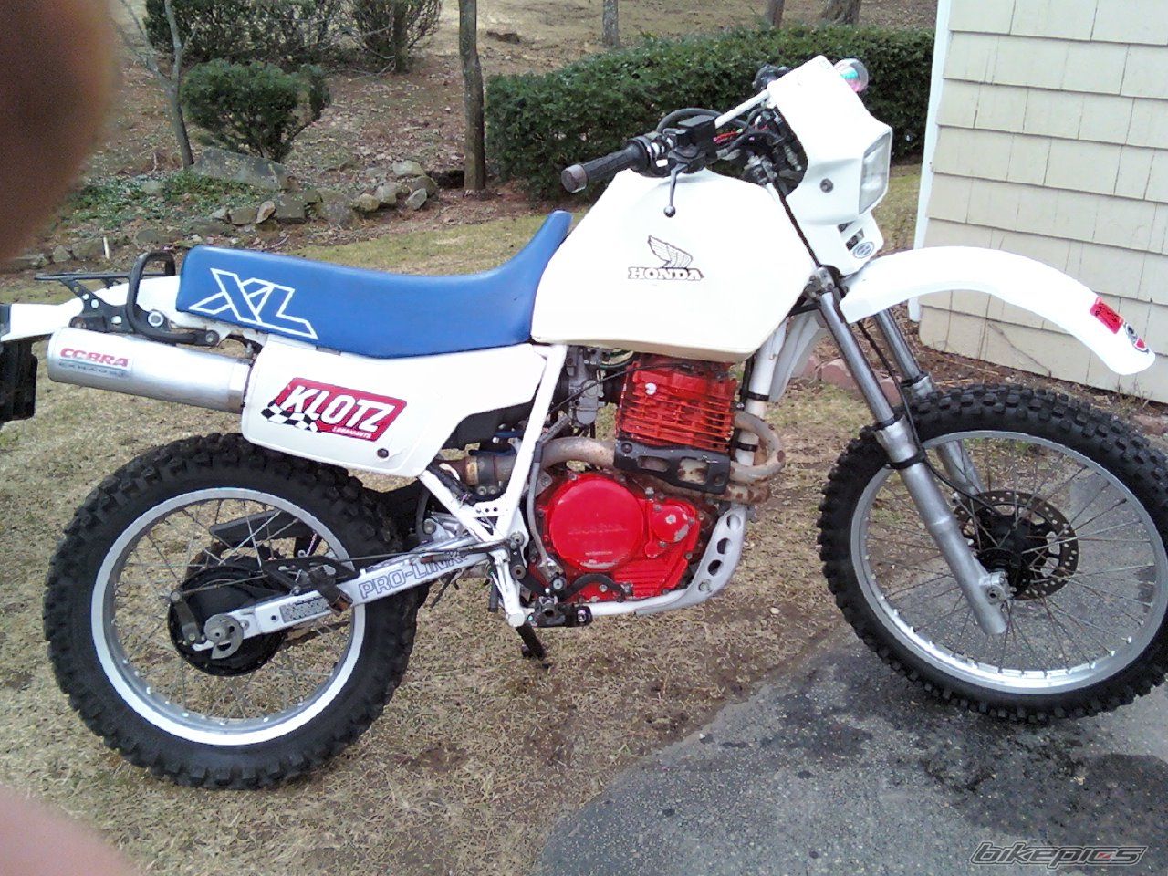Photo 1620011