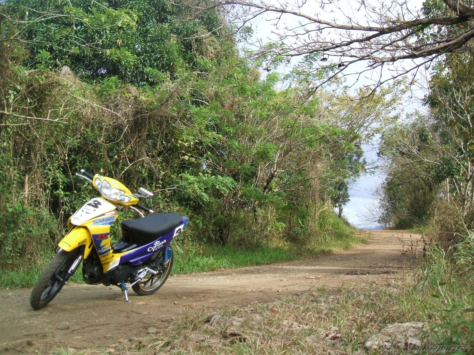 Bike Photo 1620024