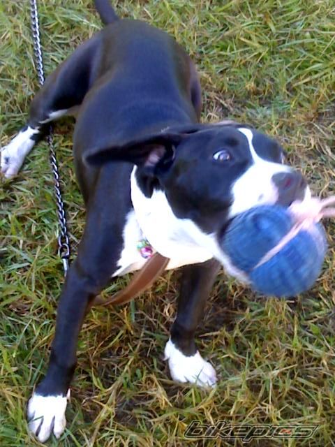 Photo 1620057