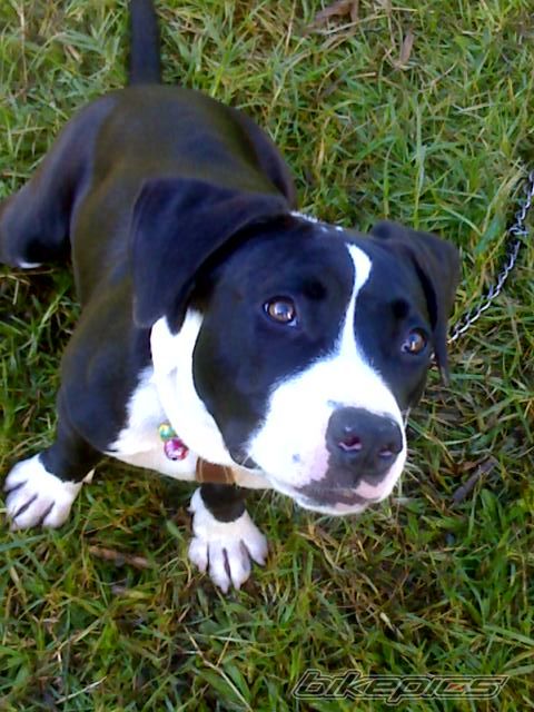 Photo 1620058