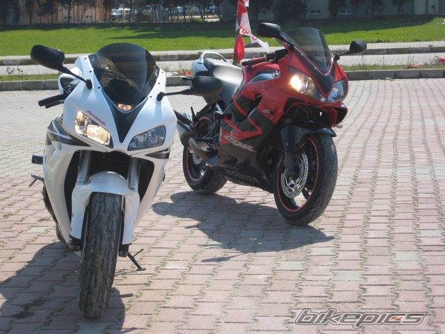 Photo 1620200