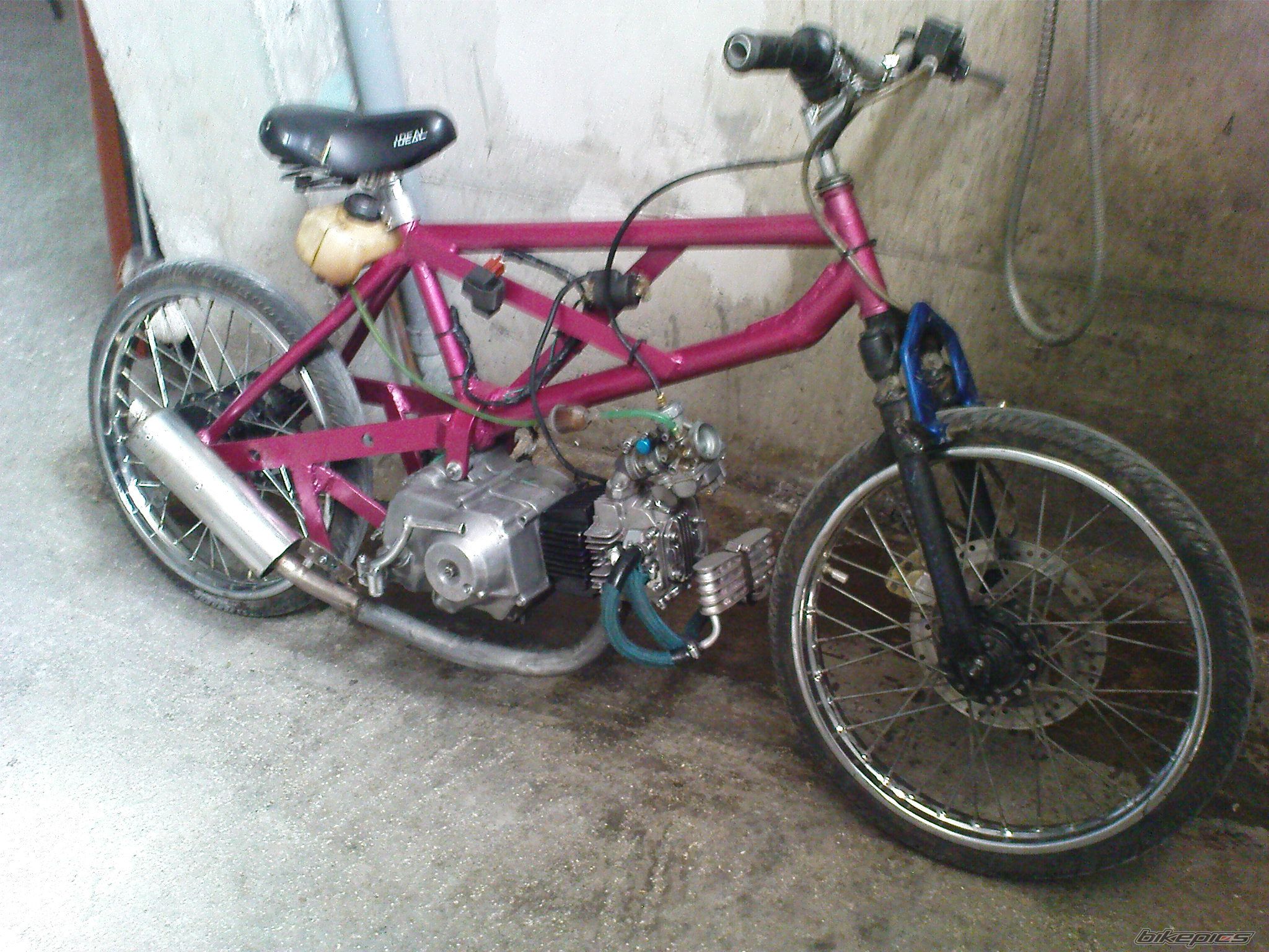 Photo 1620229