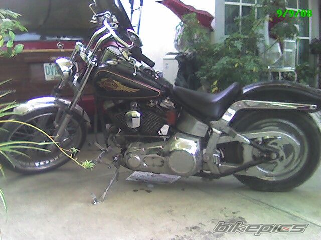 Photo 1620861