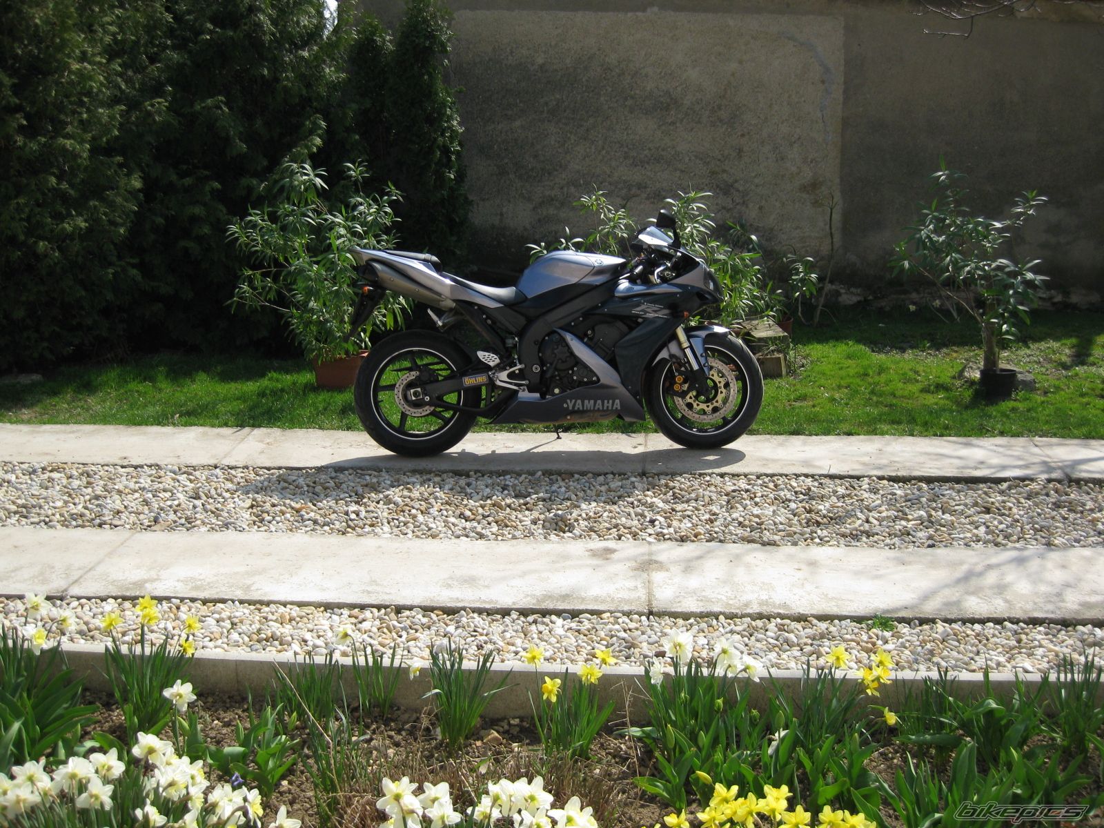 Bike Photo 1621369
