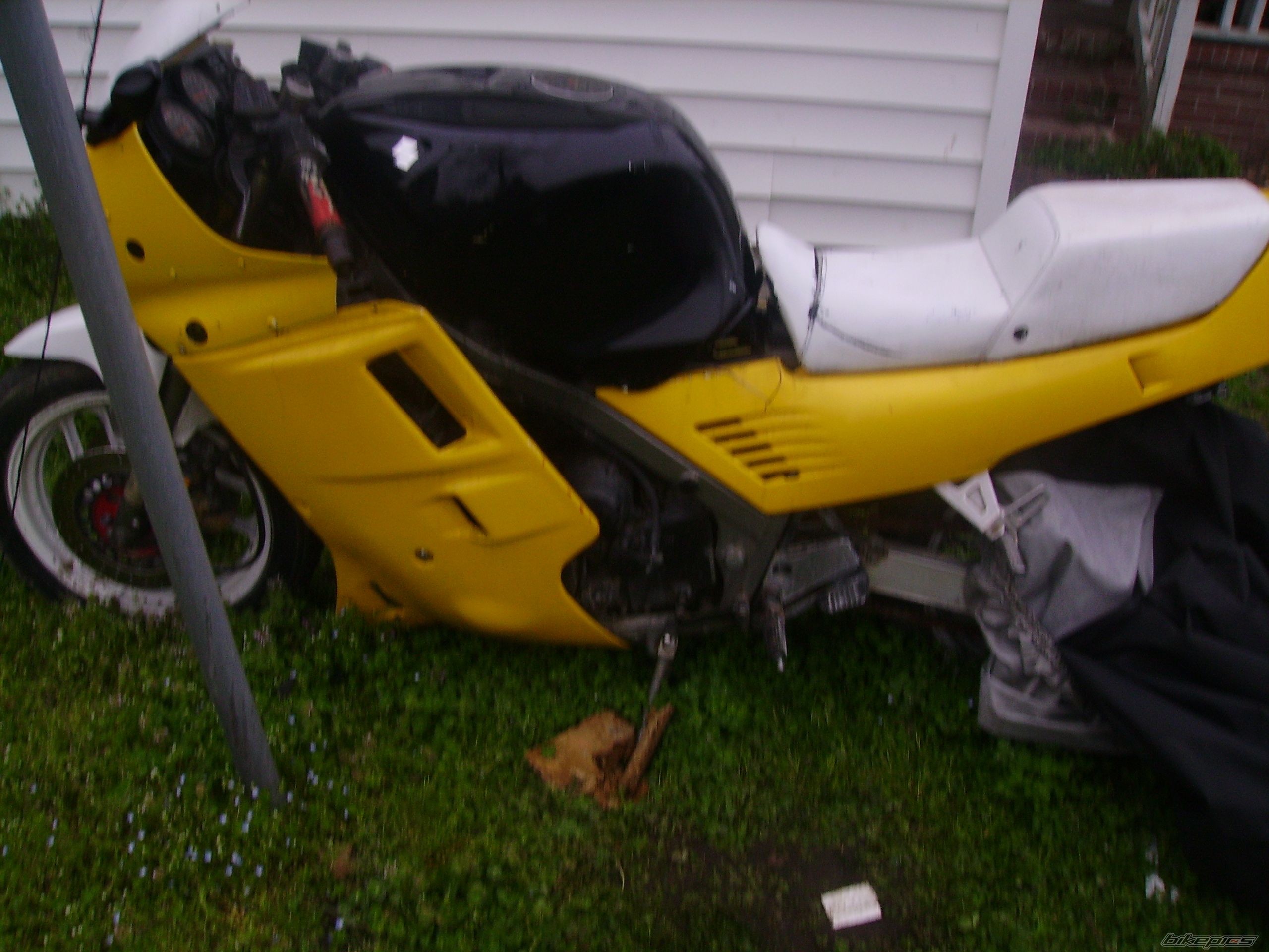 Photo 1621676