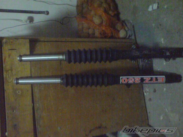 Photo 1621905