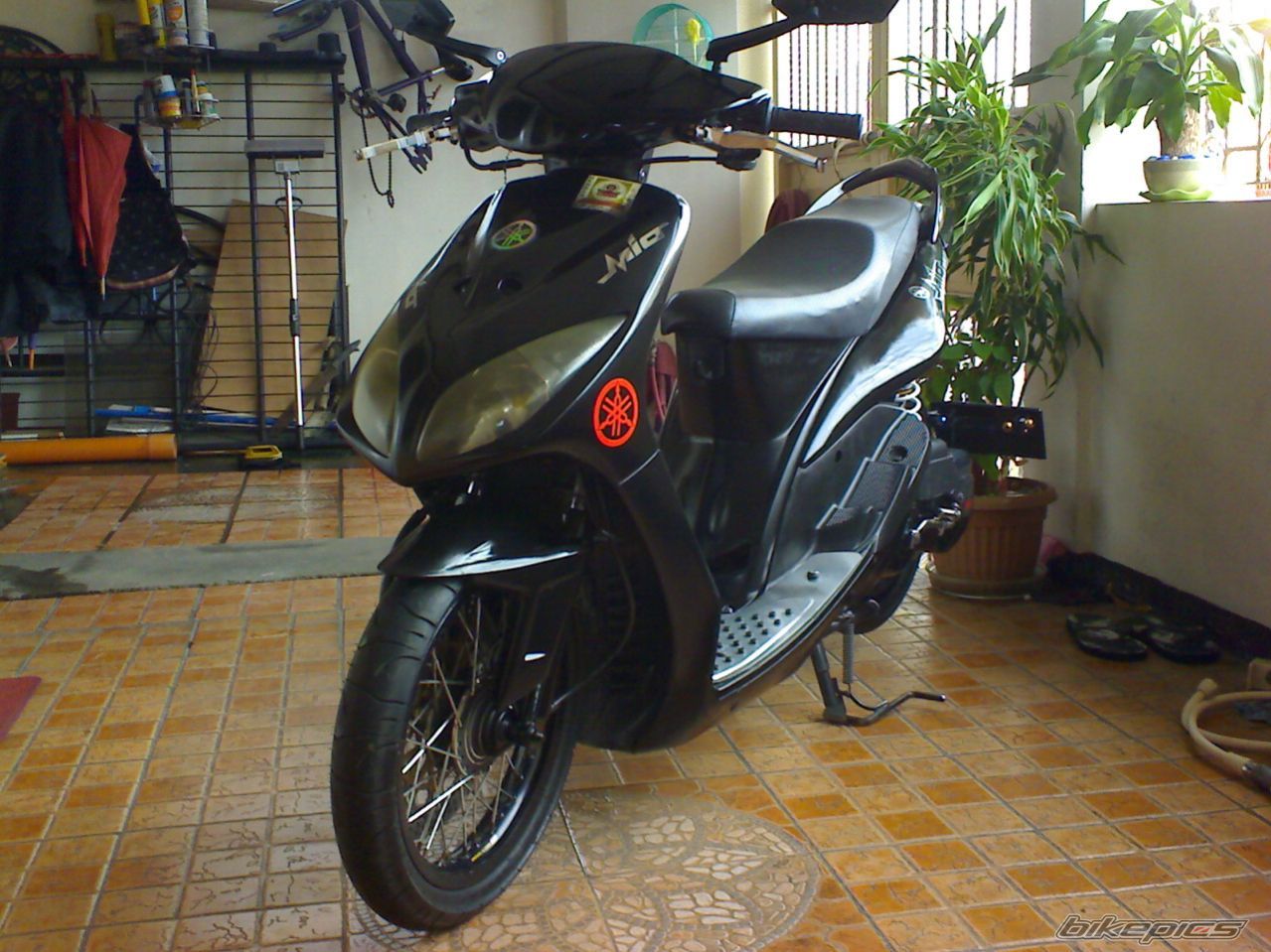Photo 1622161