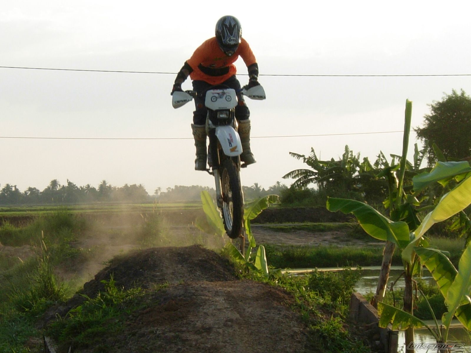 Photo 1622453