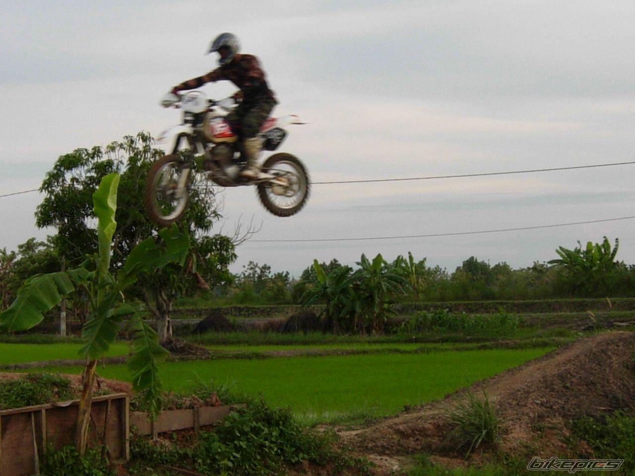 Photo 1622469