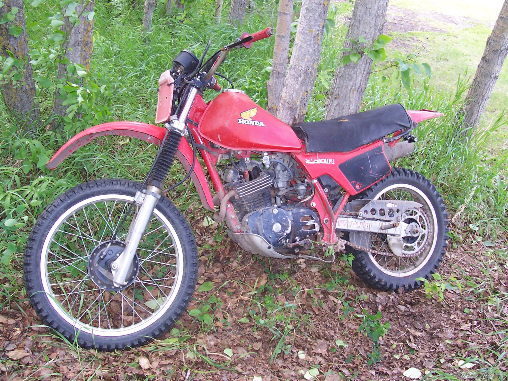 Photo 162248