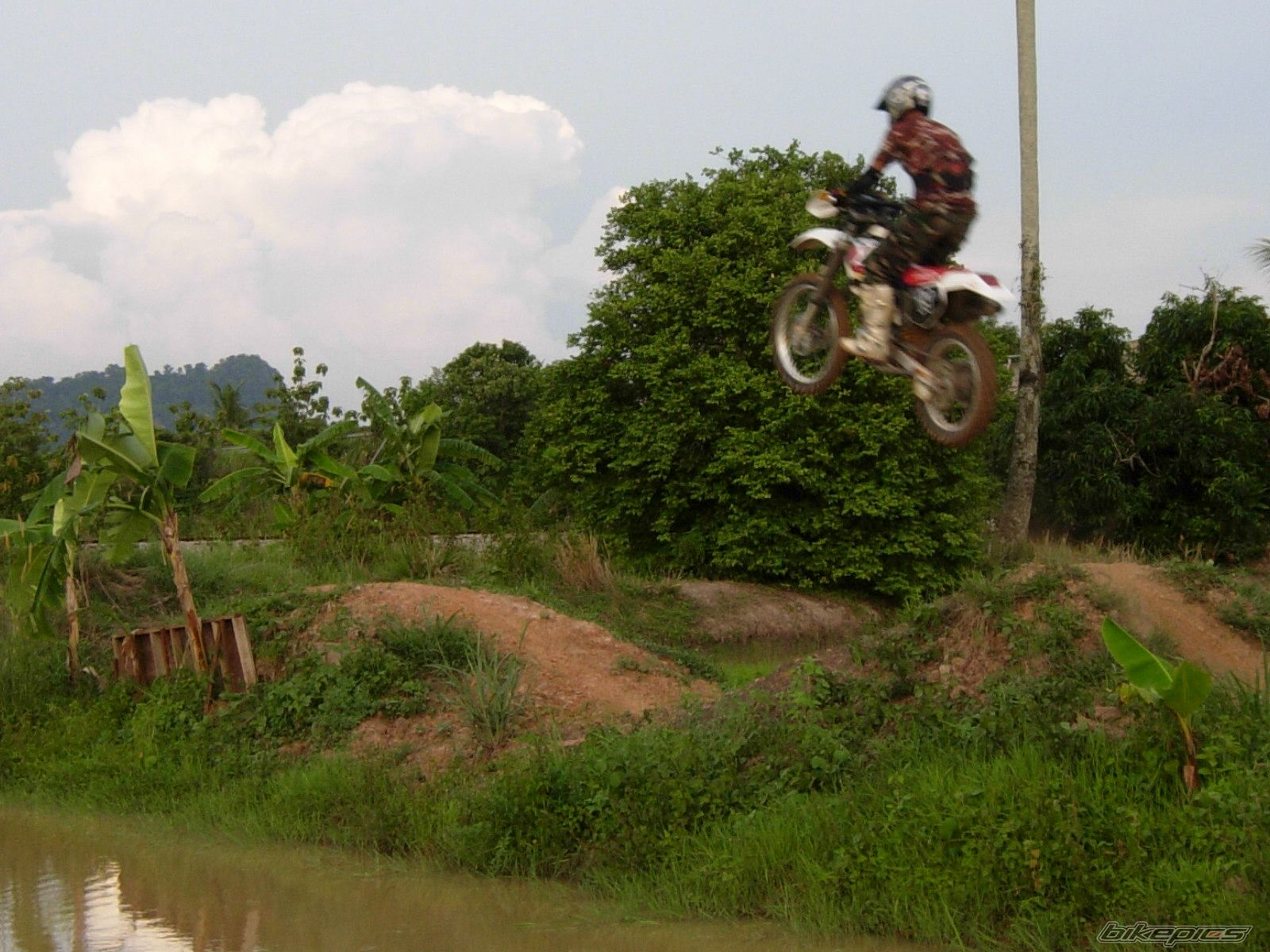 Photo 1622494