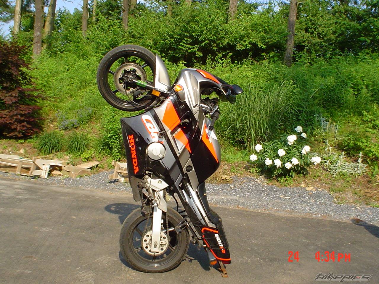 Photo 162250