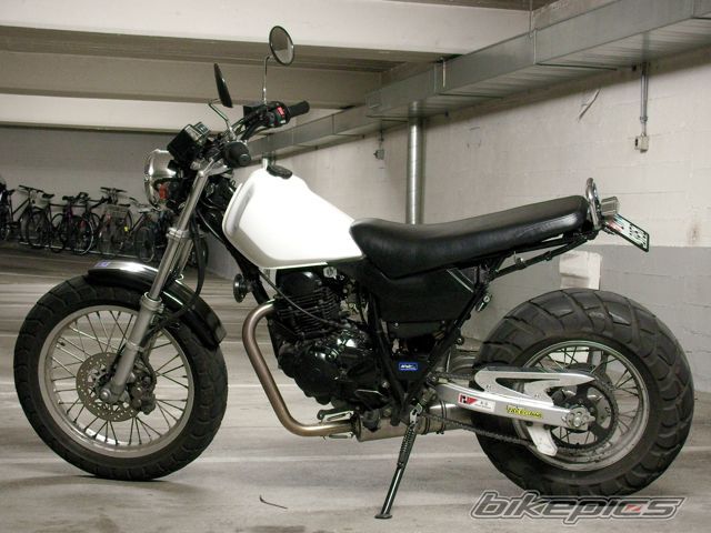 Photo 1622666