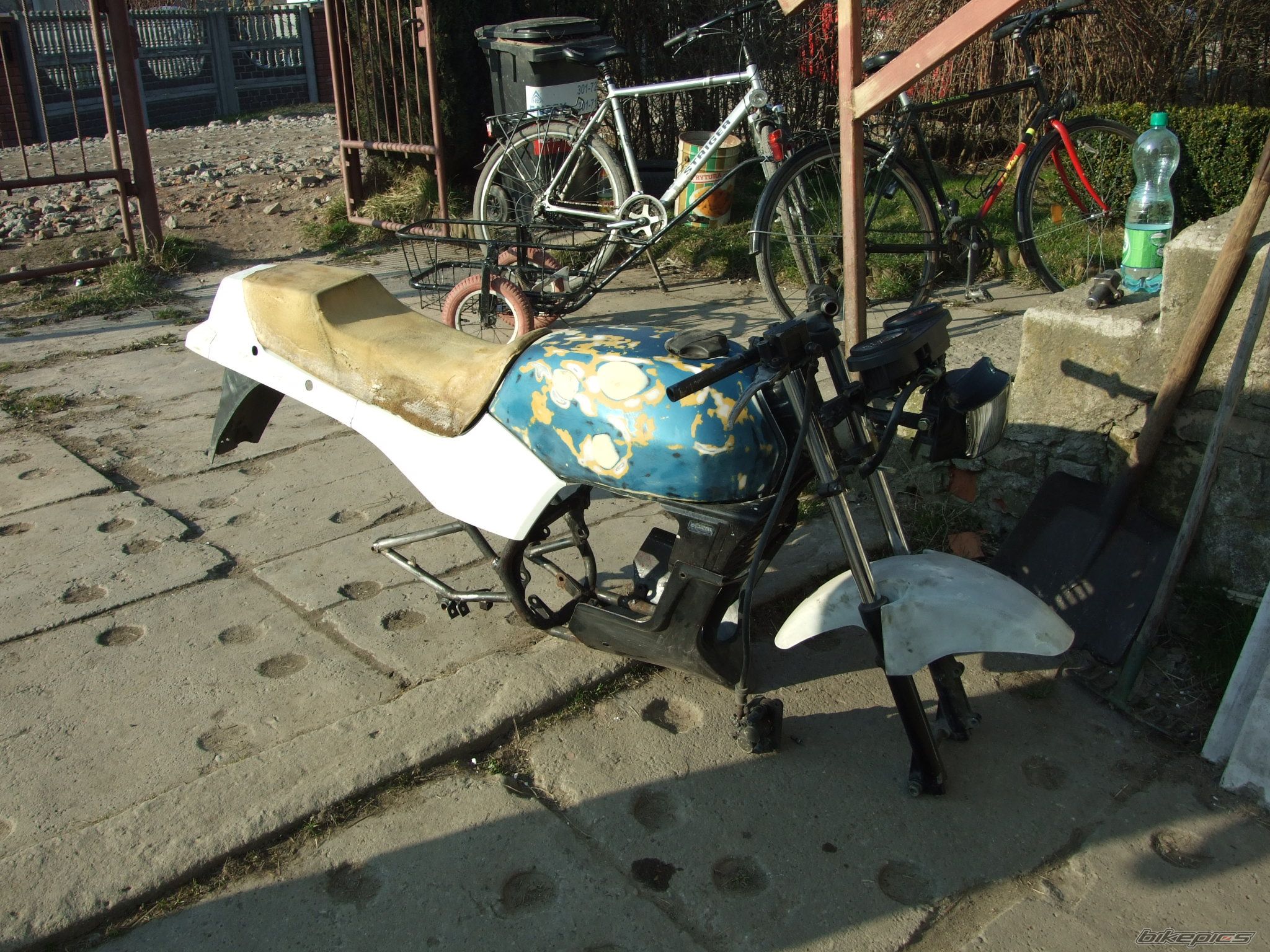 Photo 1622824