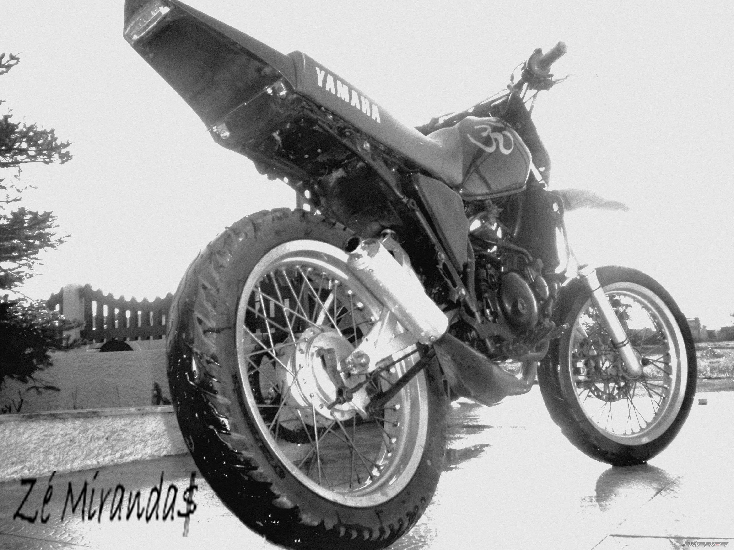 Photo 1622954