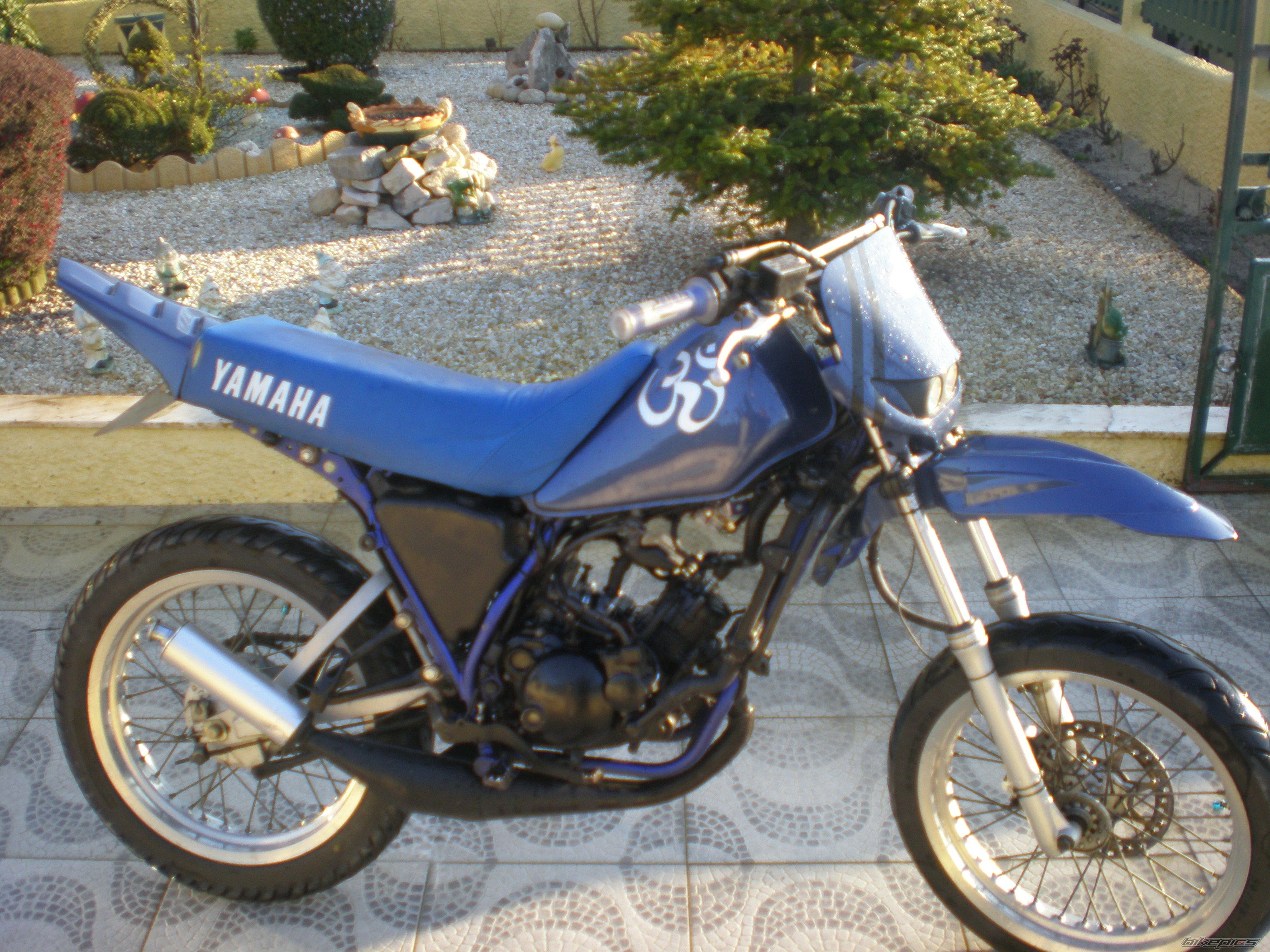 Photo 1622960