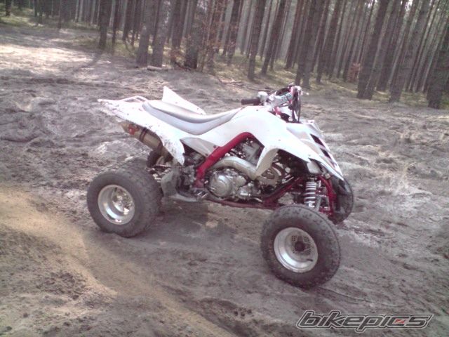 Photo 1623018