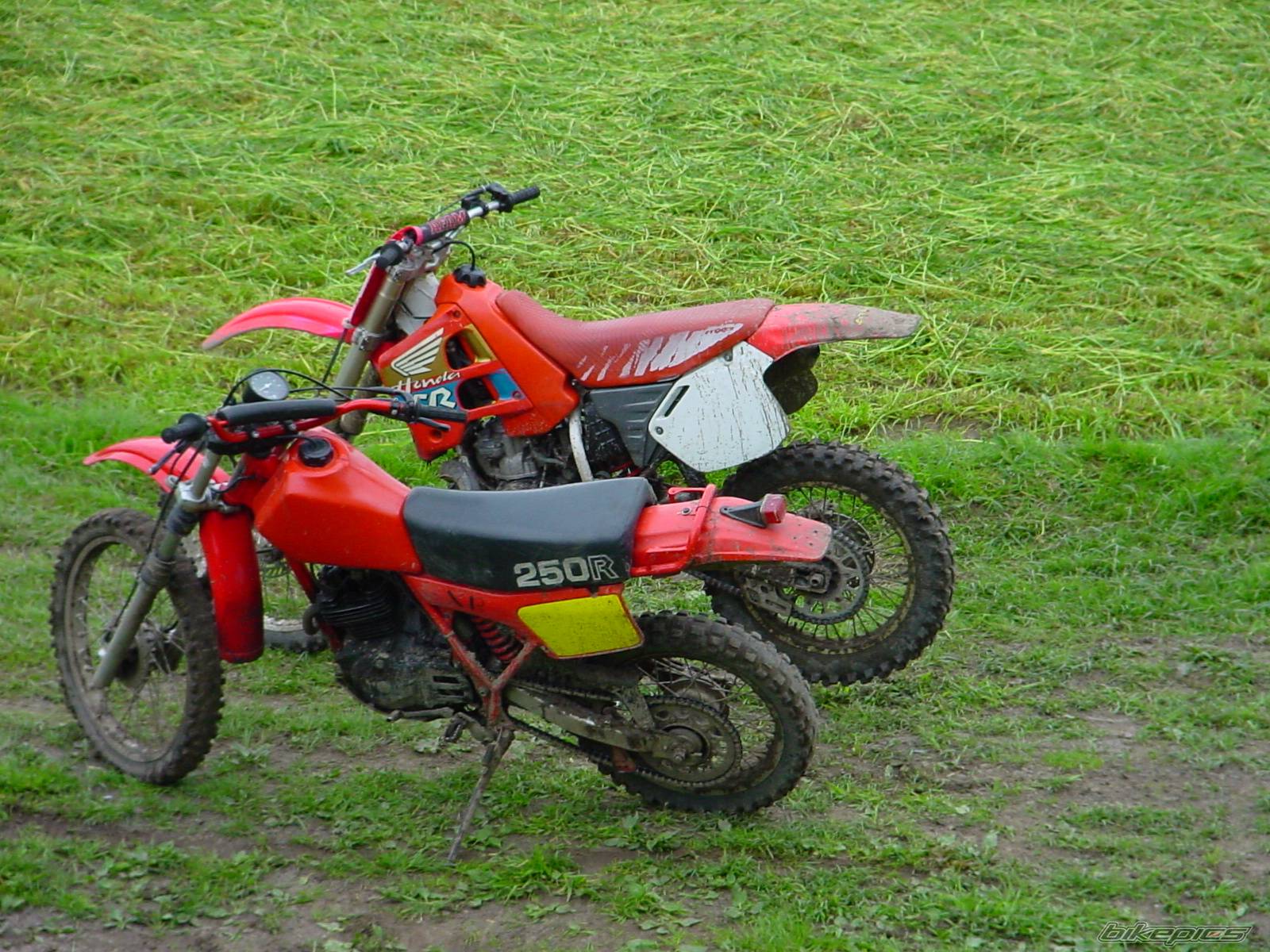 Photo 162304