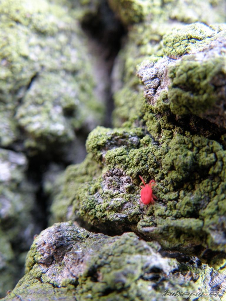 Photo 1623219