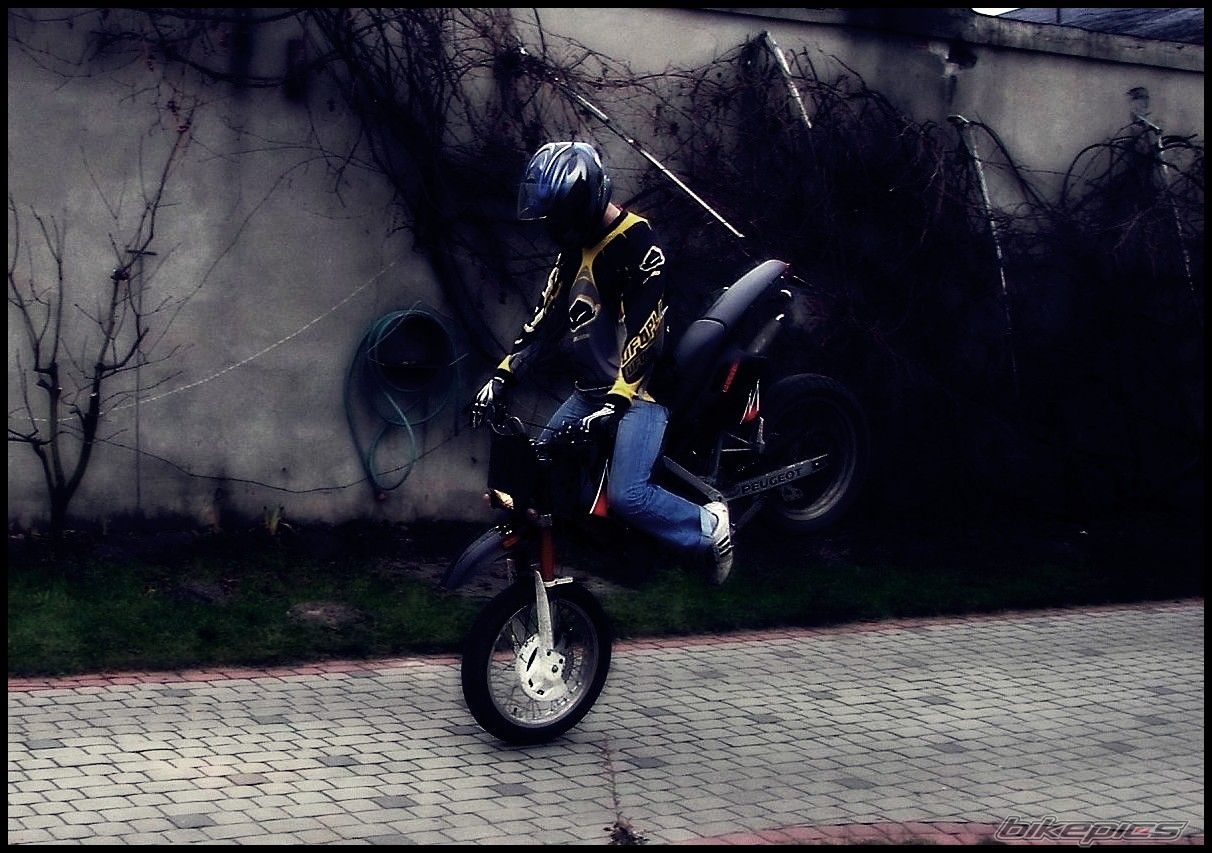 Photo 1623229