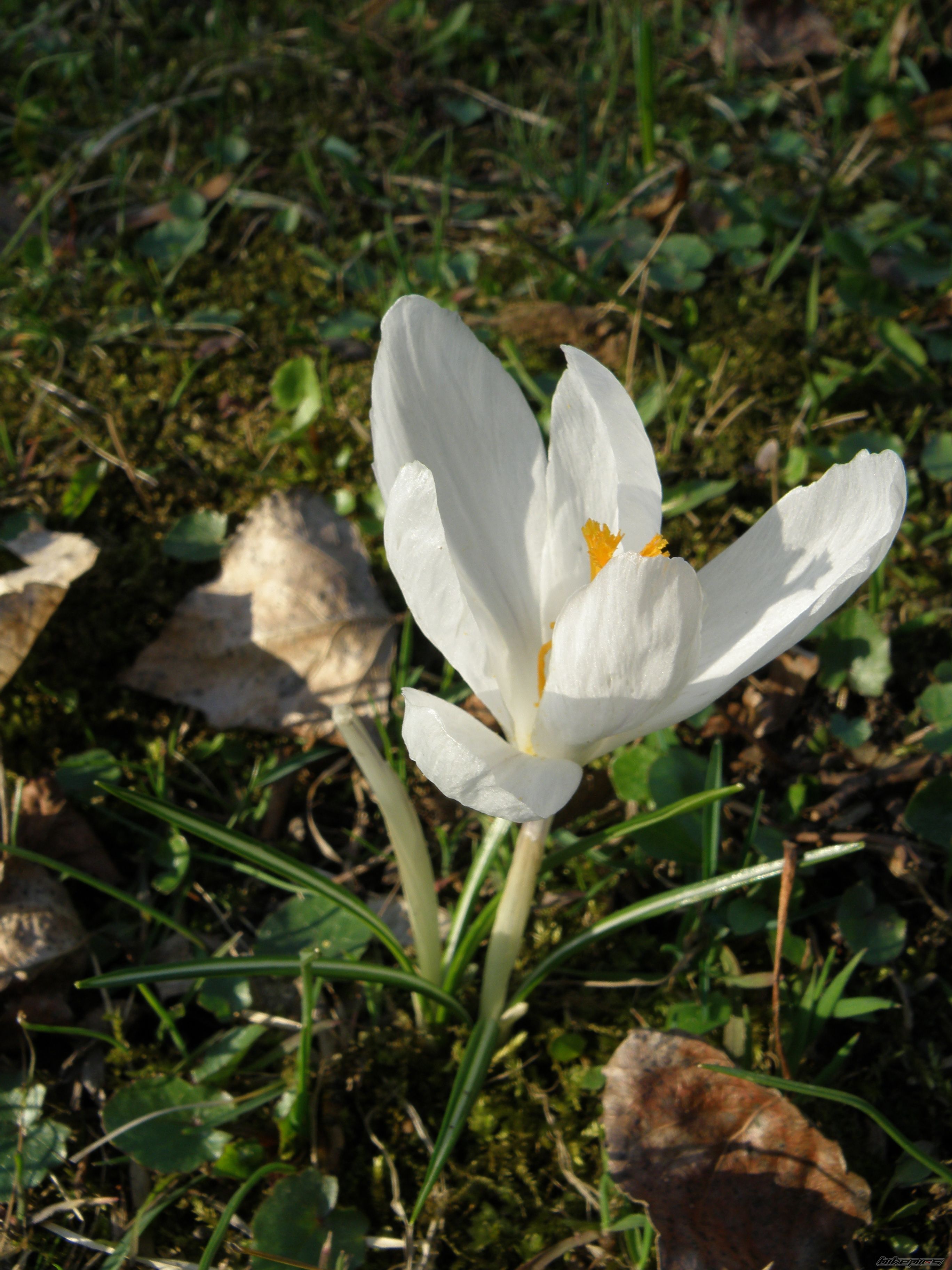 Photo 1623261
