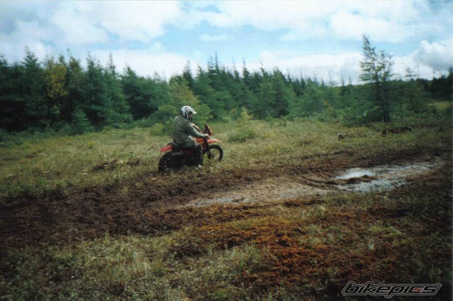 Photo 162346