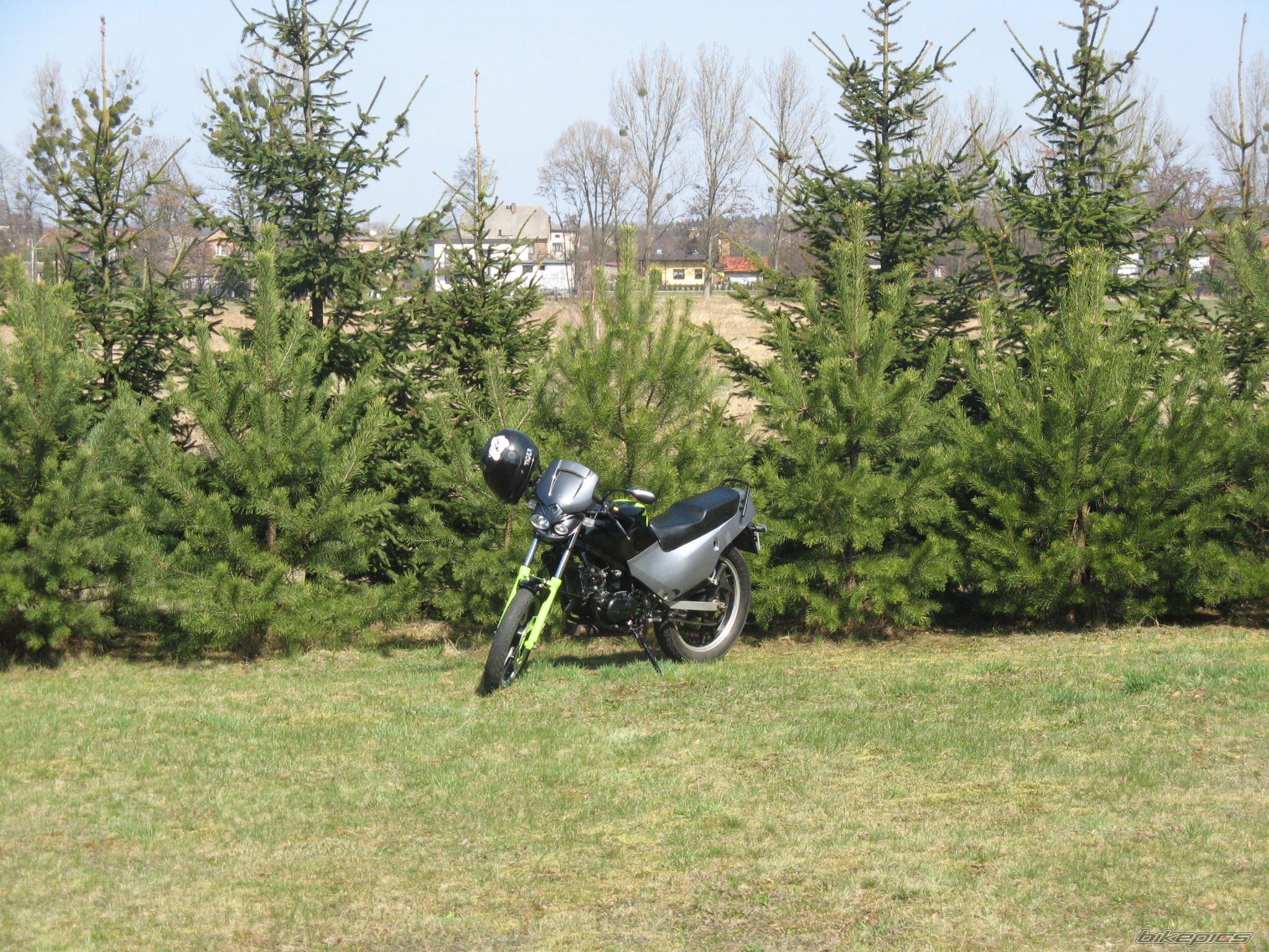 Photo 1623565