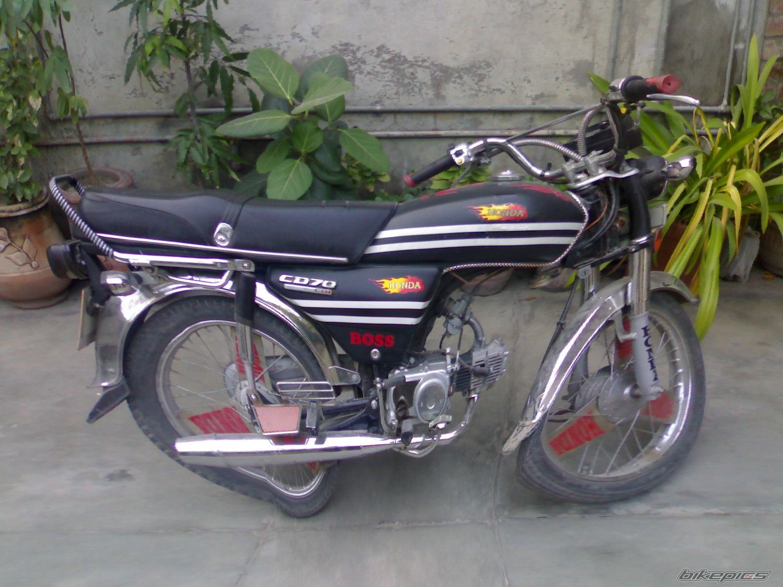 Photo 1623786