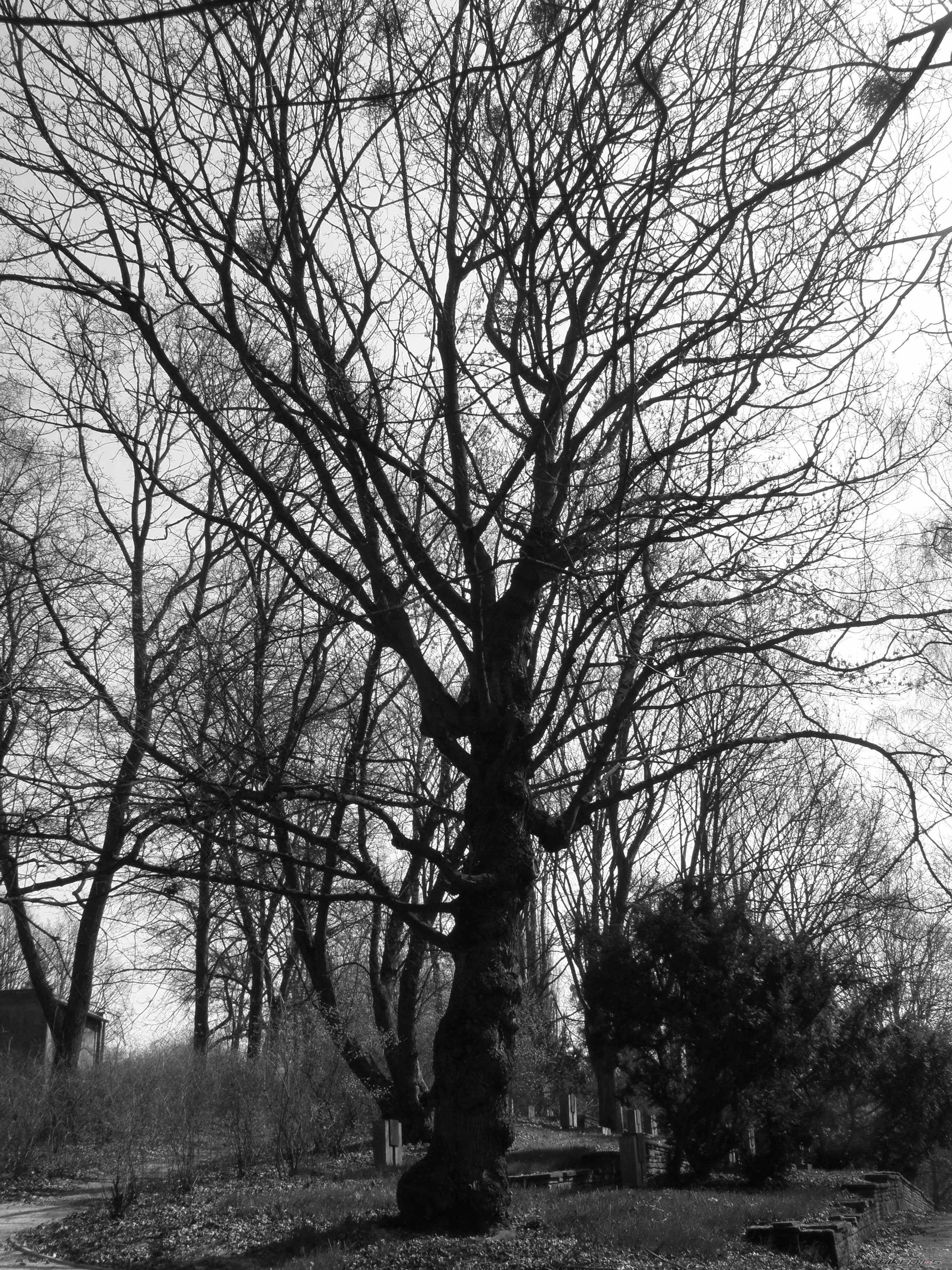 Photo 1623810