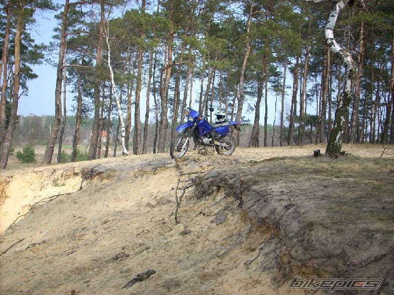 Bike Photo 1623815