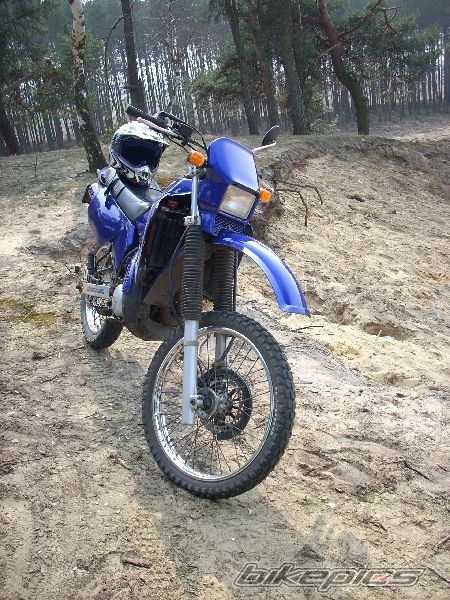 Photo 1623841
