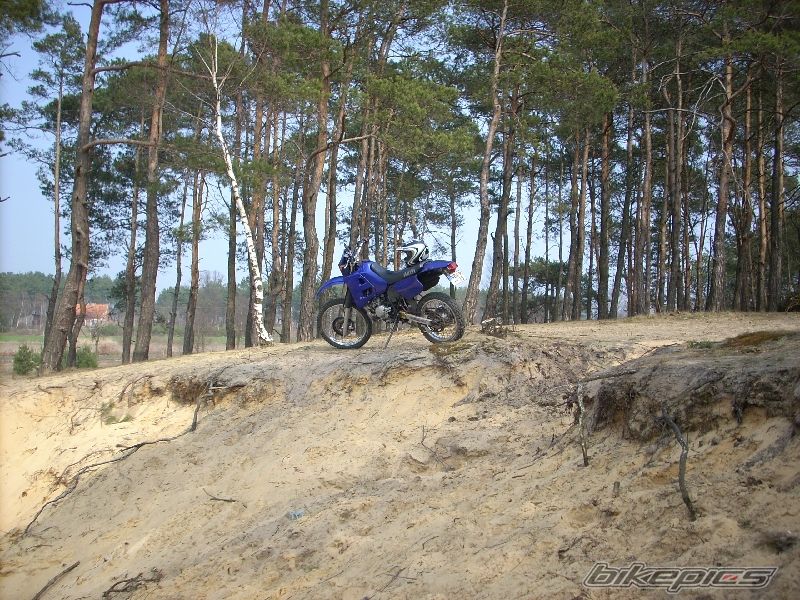 Photo 1623853