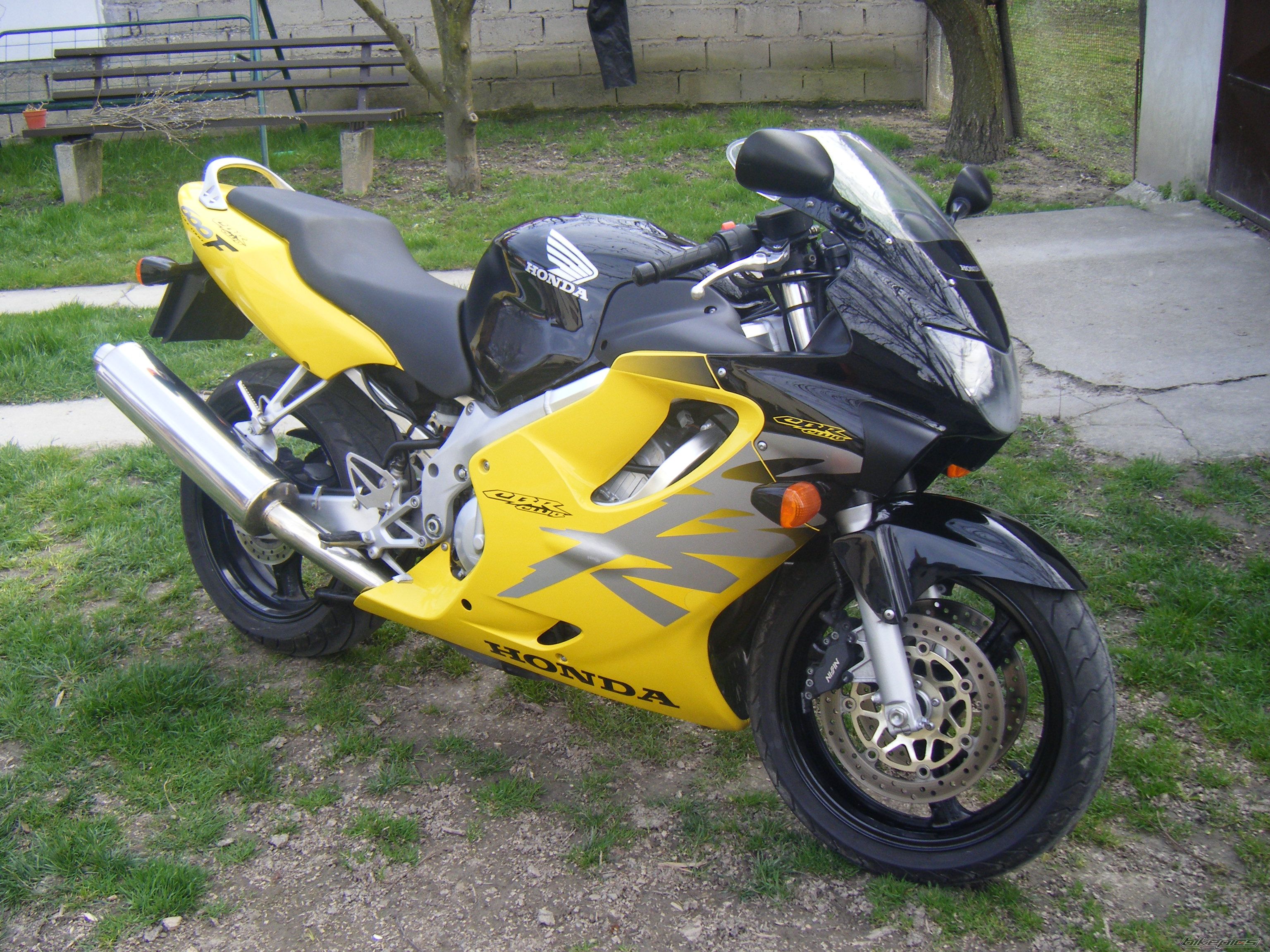 Photo 1623892