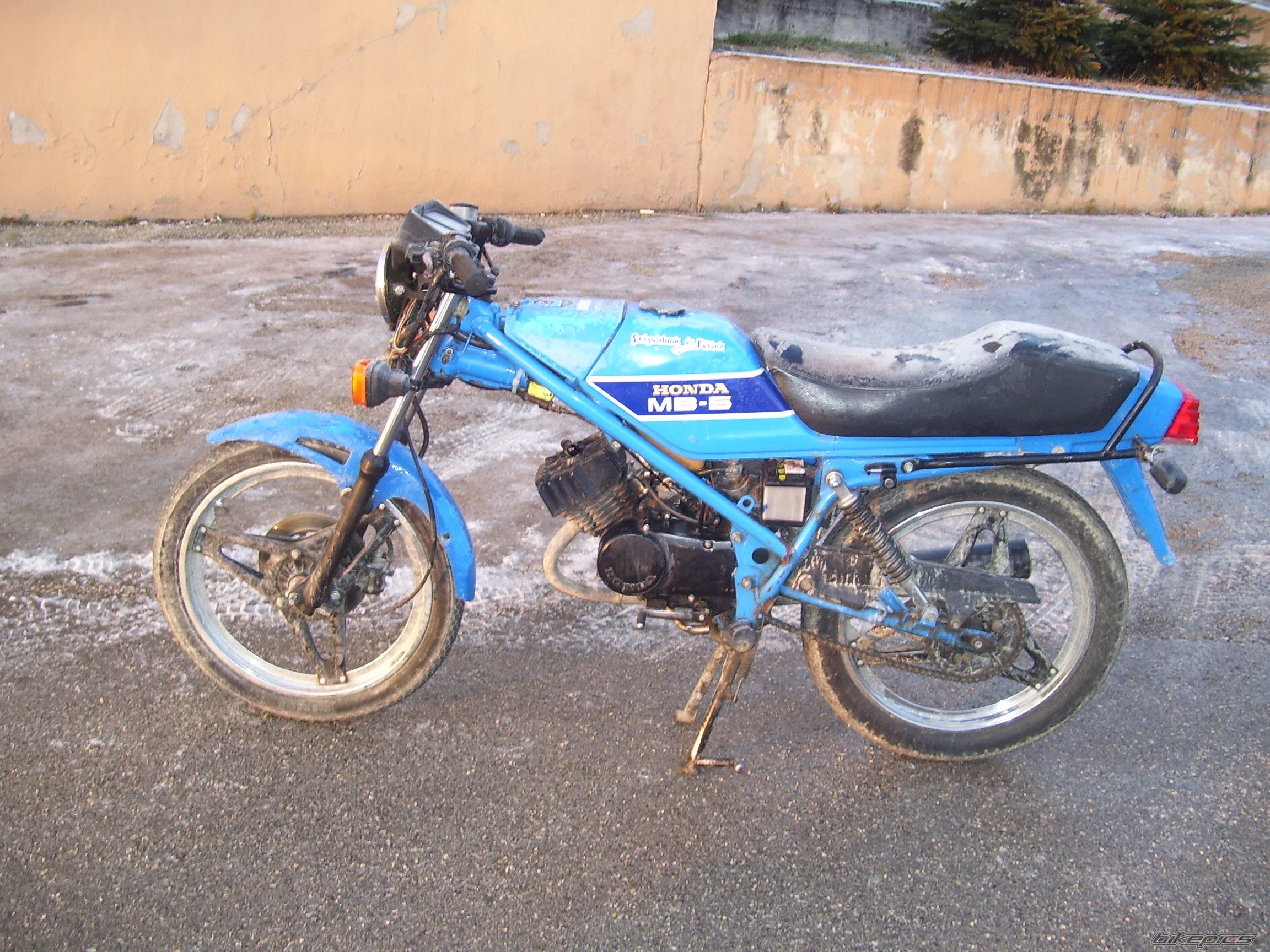 Photo 1623910