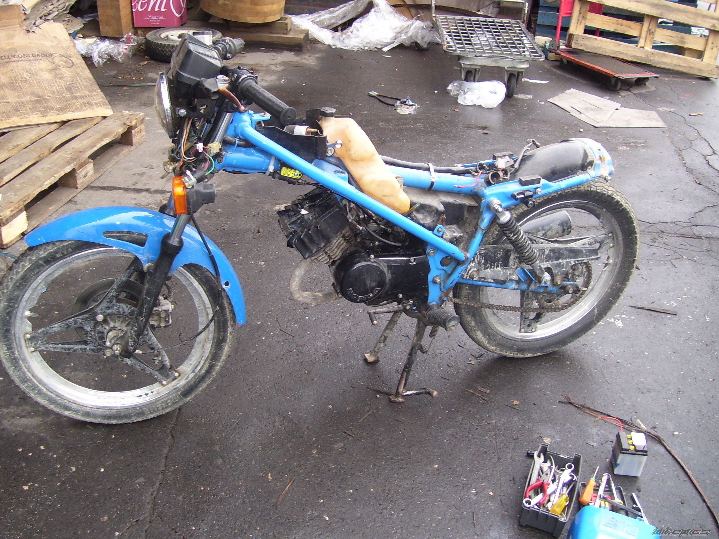 Photo 1623914