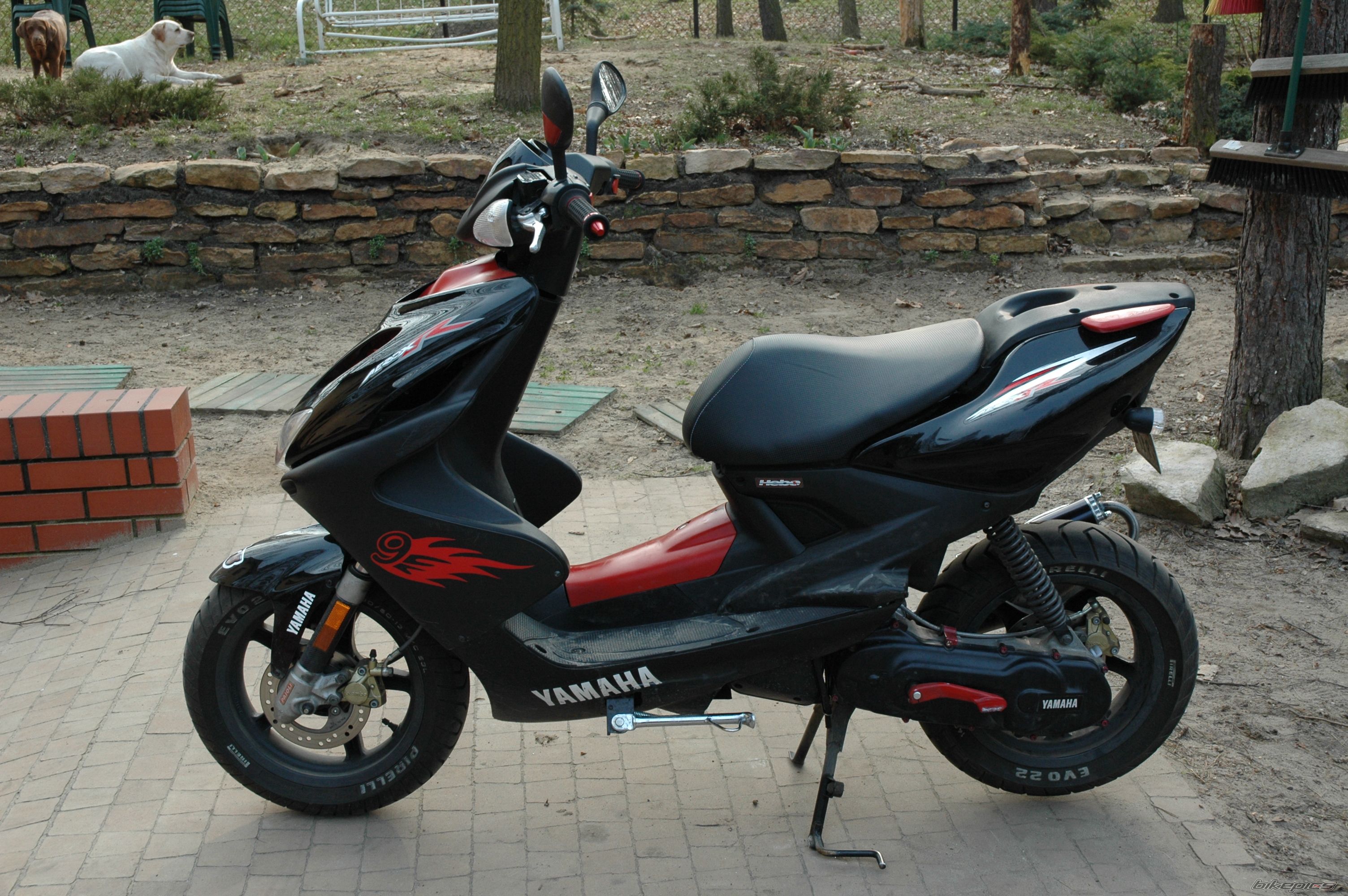 Bike Photo 1623990