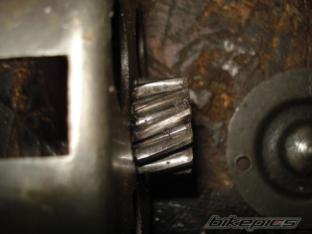 Photo 1624020