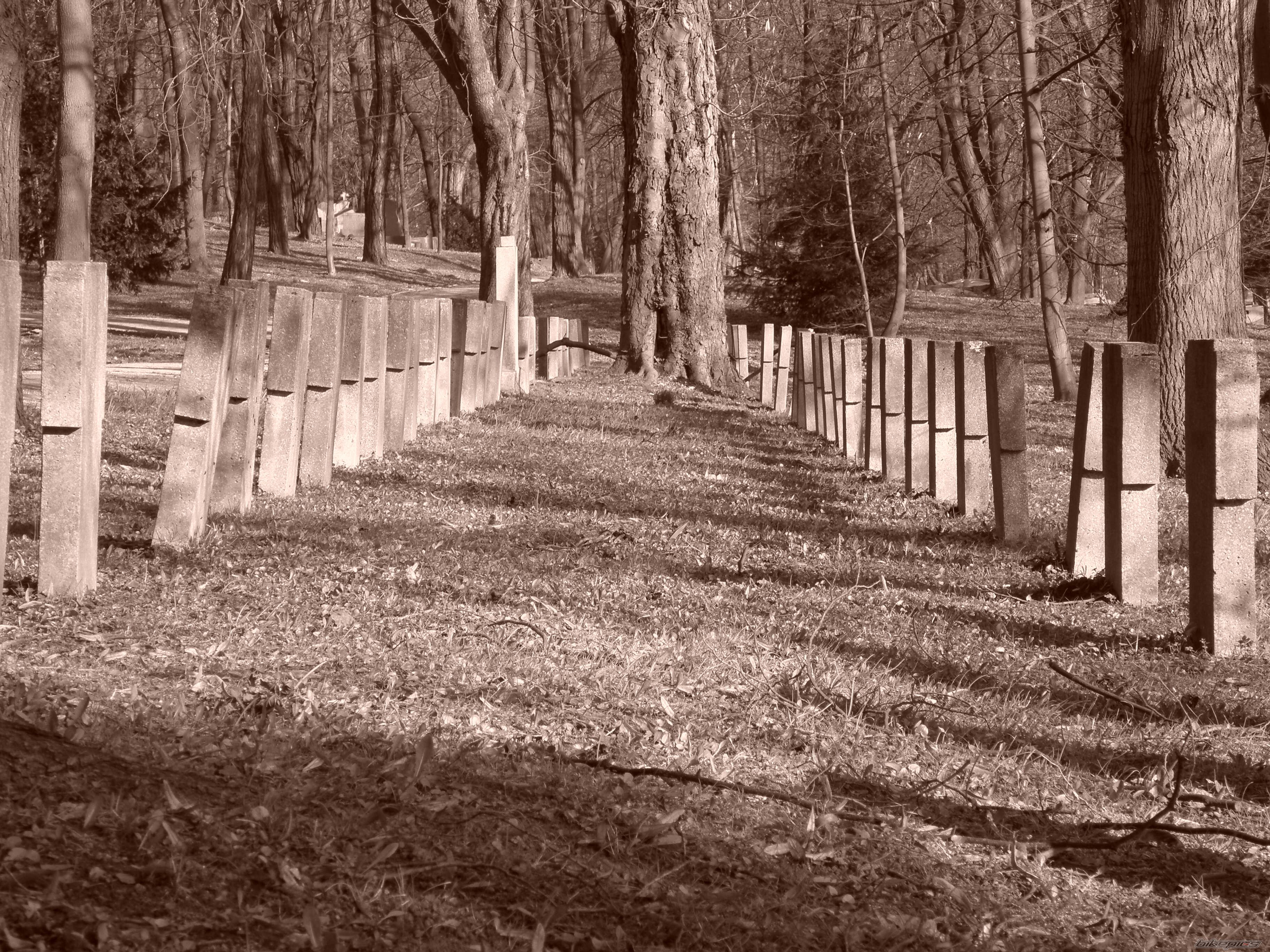 Photo 1624183