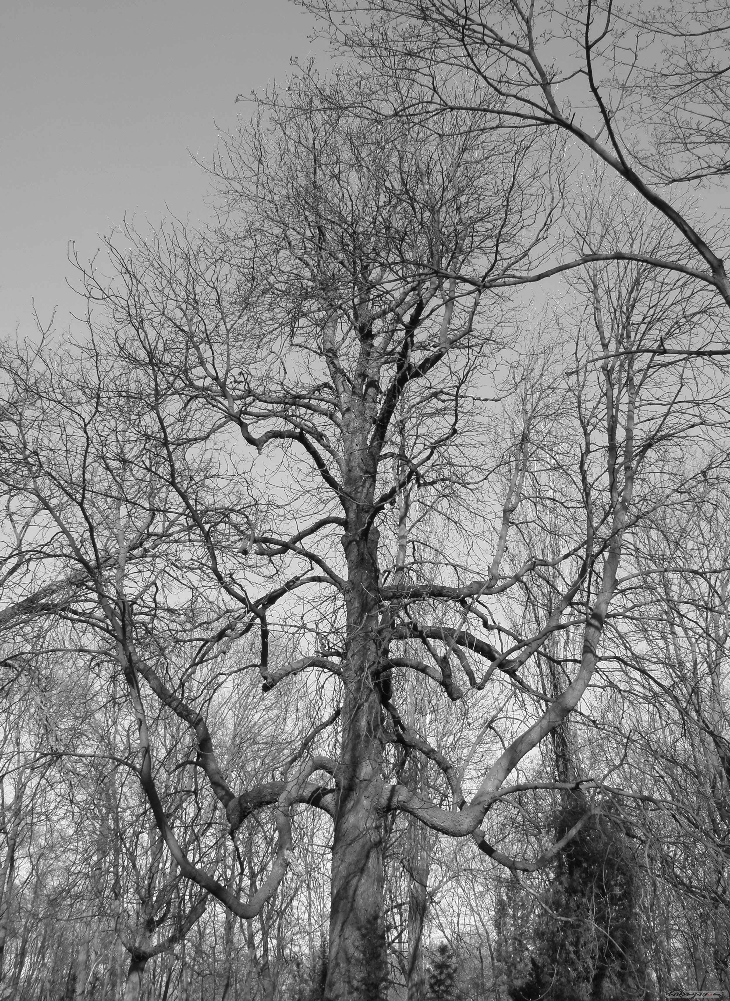 Photo 1624194